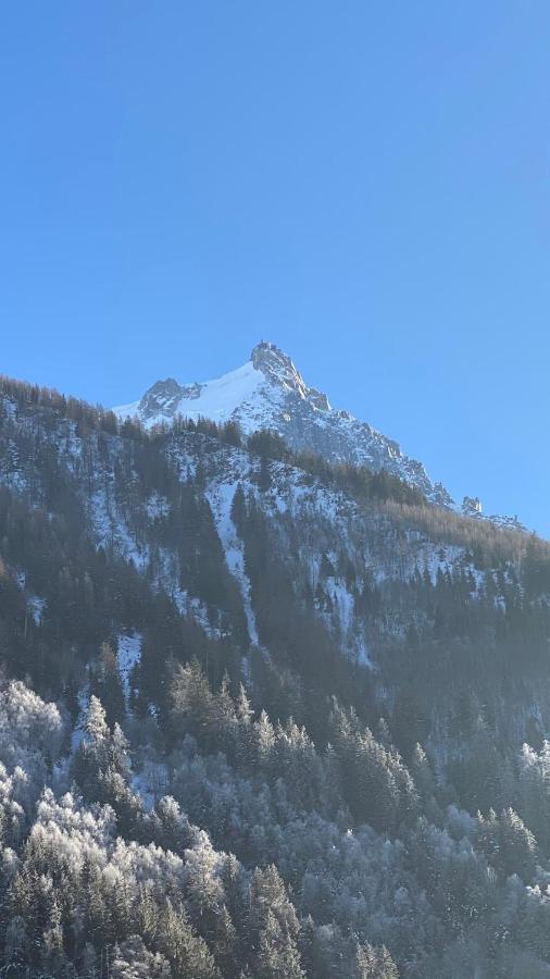 Chamois De Chamonix, Confortable 2 Pieces, Balcon, Parking Gratuit 외부 사진